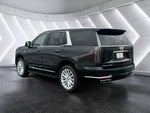 2025 Cadillac Escalade Luxury